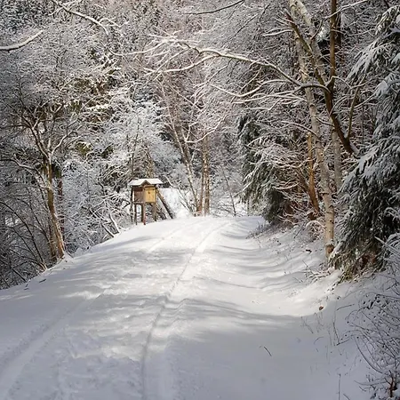 Doppelhaushaelfte In Σπίτι διακοπών Hasselfelde